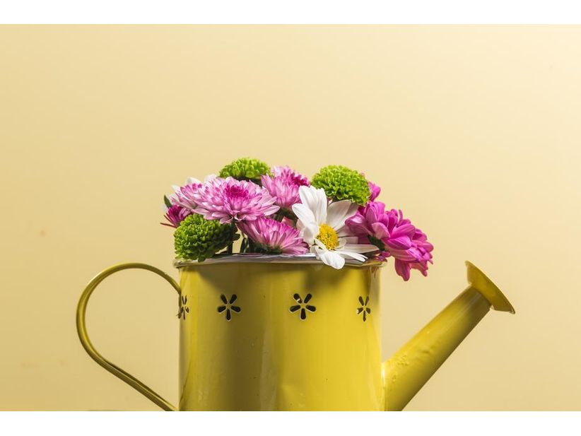 al-test-my Gift Card